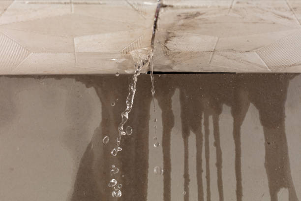 Professional Burst Pipe Cleanup technician working in Bickleton, WA